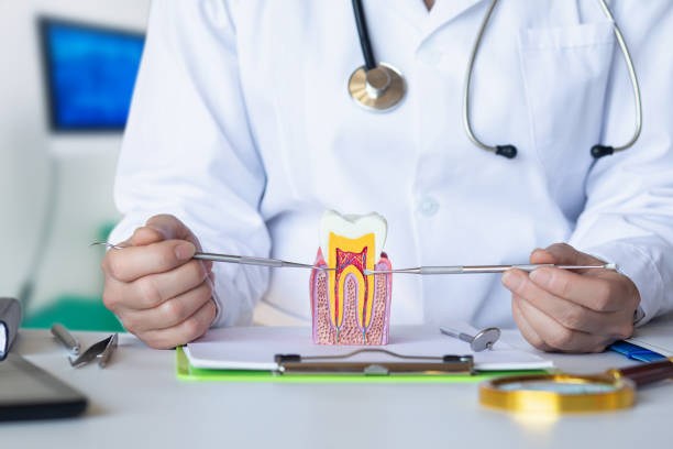 Best Emergency Orthodontic Services in Irvington, KY